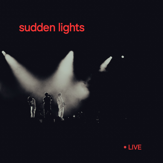 LIMITED EDITION Vinyl Sudden Lights LIVE